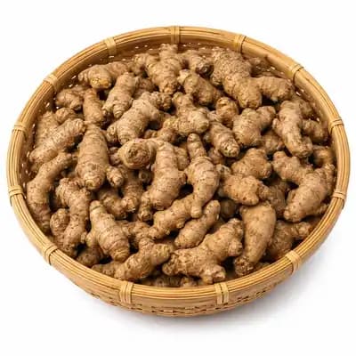 খাগড়াছড়ির পাহাড়ি আদা । Khagrachari Hilly Ginger