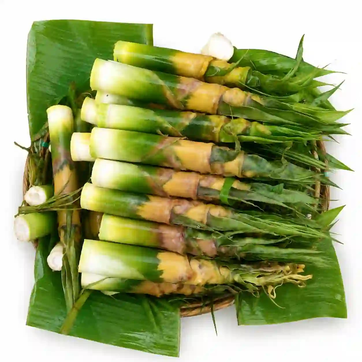 পাহাড়ি বাঁশ কোড়ল