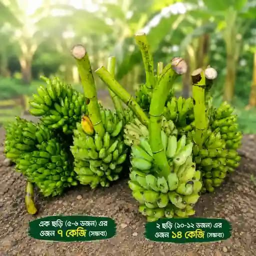 পাহাড়ি ফ্রেশ বাংলা কলা । Hill Bangla Banana
